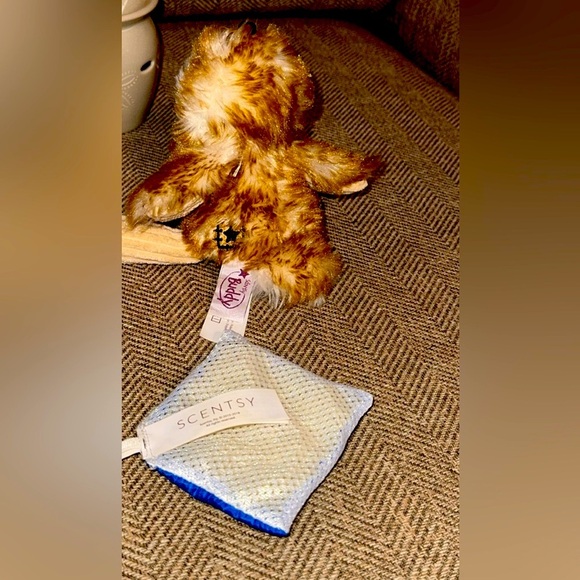 BUNDLE 5 Count Scentsy Fragrance Wax Melt Warmers Scentsy Buddy/Scent Pack - Picture 6 of 12